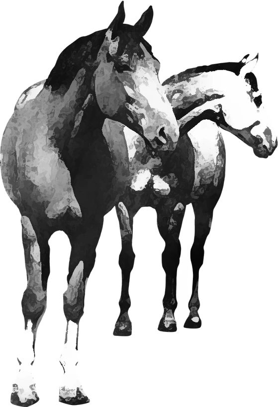 Centre équestre Les Chevaux d'Az, Merlas — deux chevaux